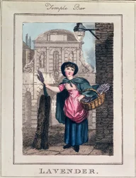 &39;Cries of London&39;のパブ、Temple Barのラベンダー。リチャード・フィリップス（1778-1851）1804